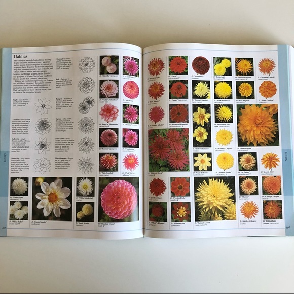 New Encyclopedia of Plants and Flowers The Royal Horticultural Society Book - Picture 10 of 13